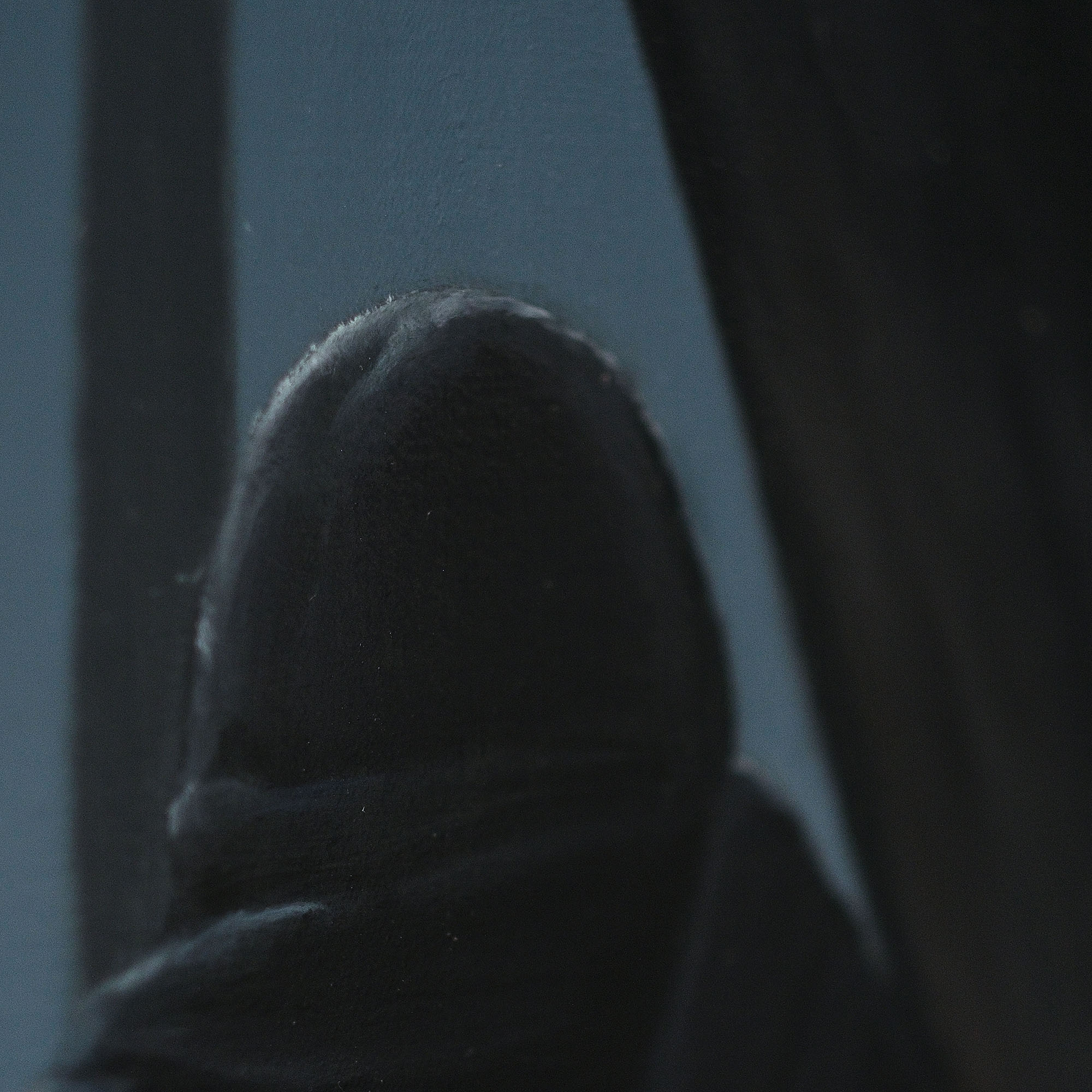 Hopfenfeld from the series: Jahreszyklus