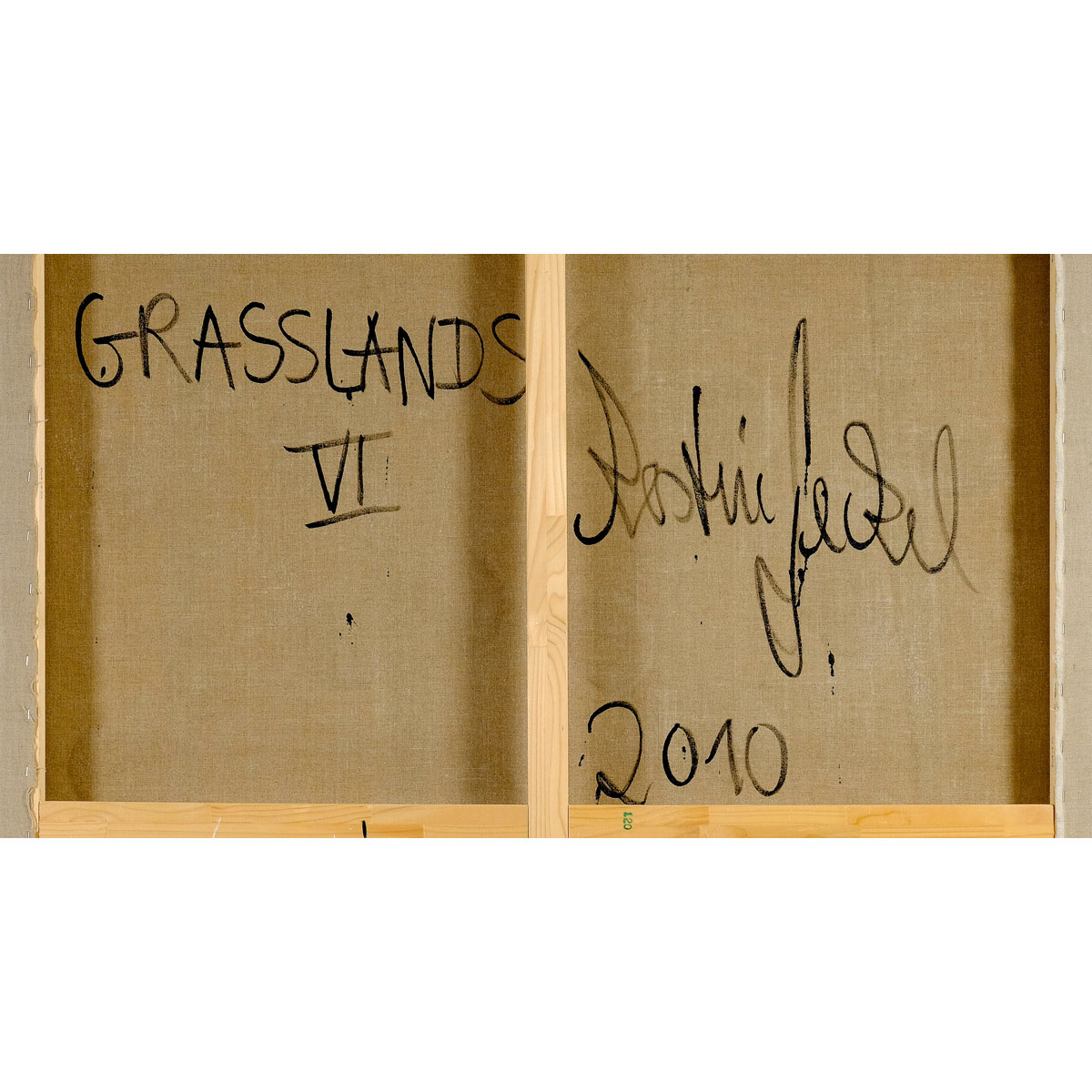 GRASSLANDS *VI