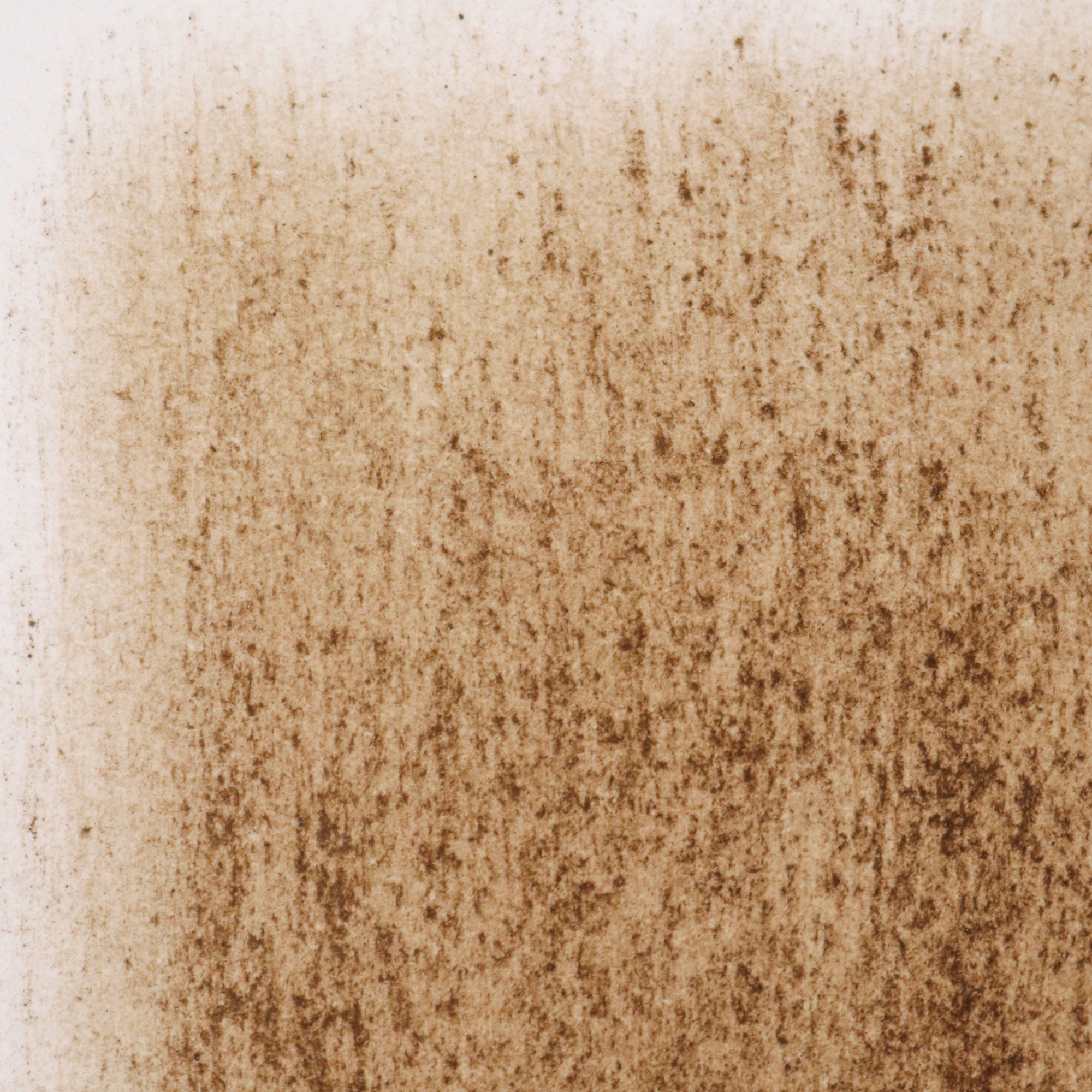 from earth: kunsthalle appenzell (ziegelhütte) 