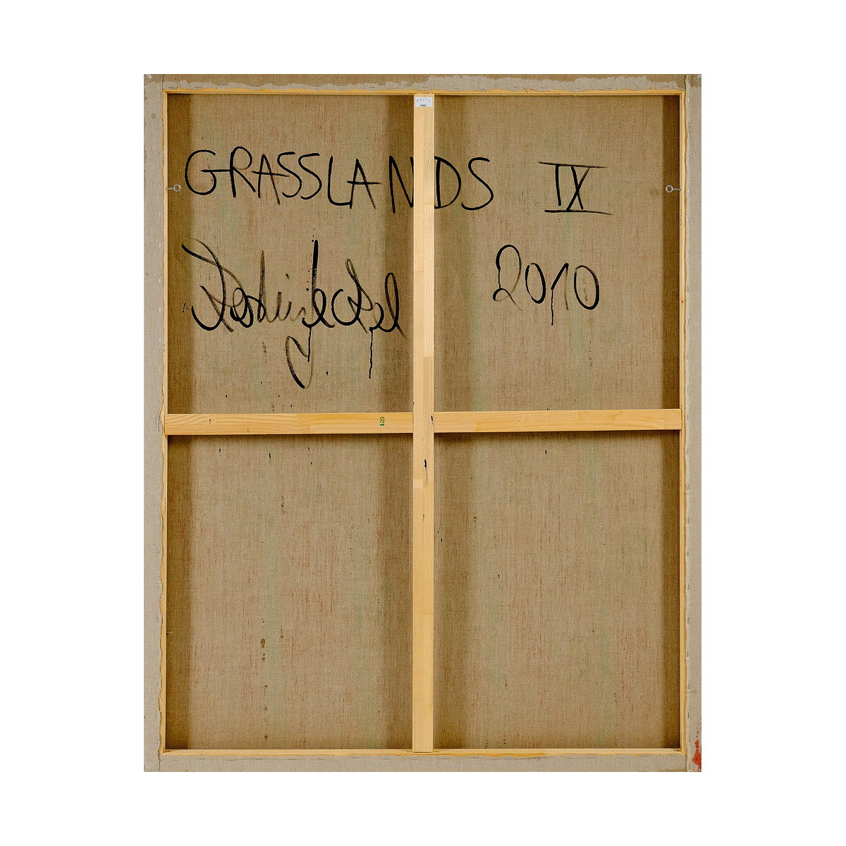 GRASSLANDS * IX