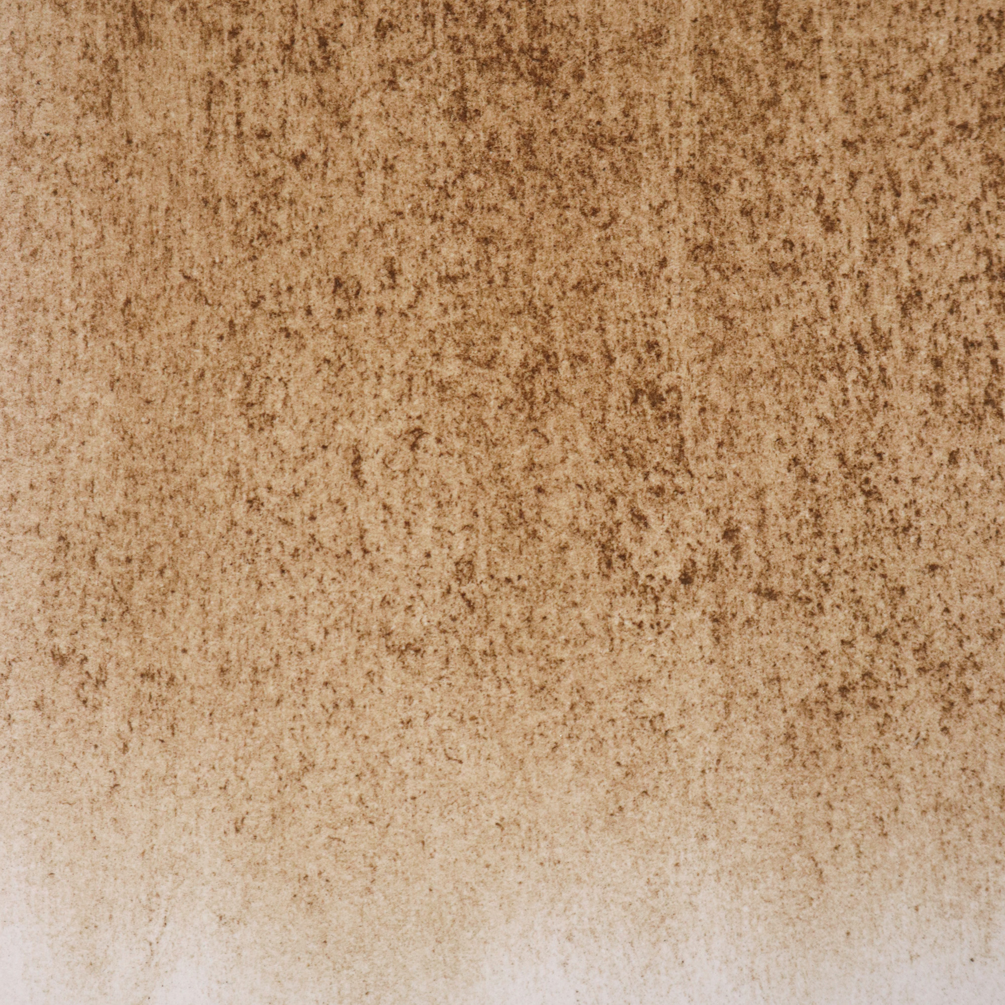 from earth: kunsthalle appenzell (ziegelhütte) 