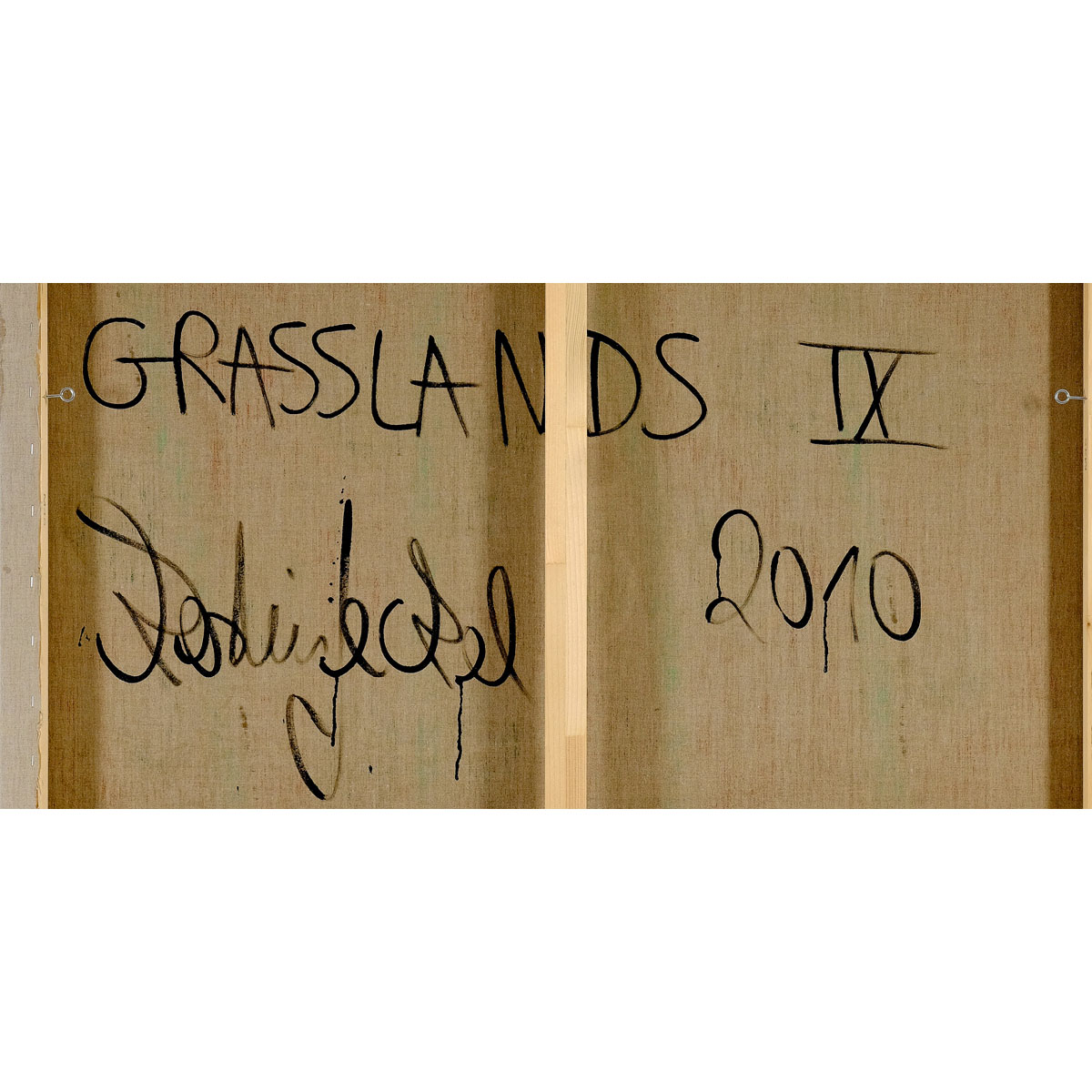 GRASSLANDS * IX