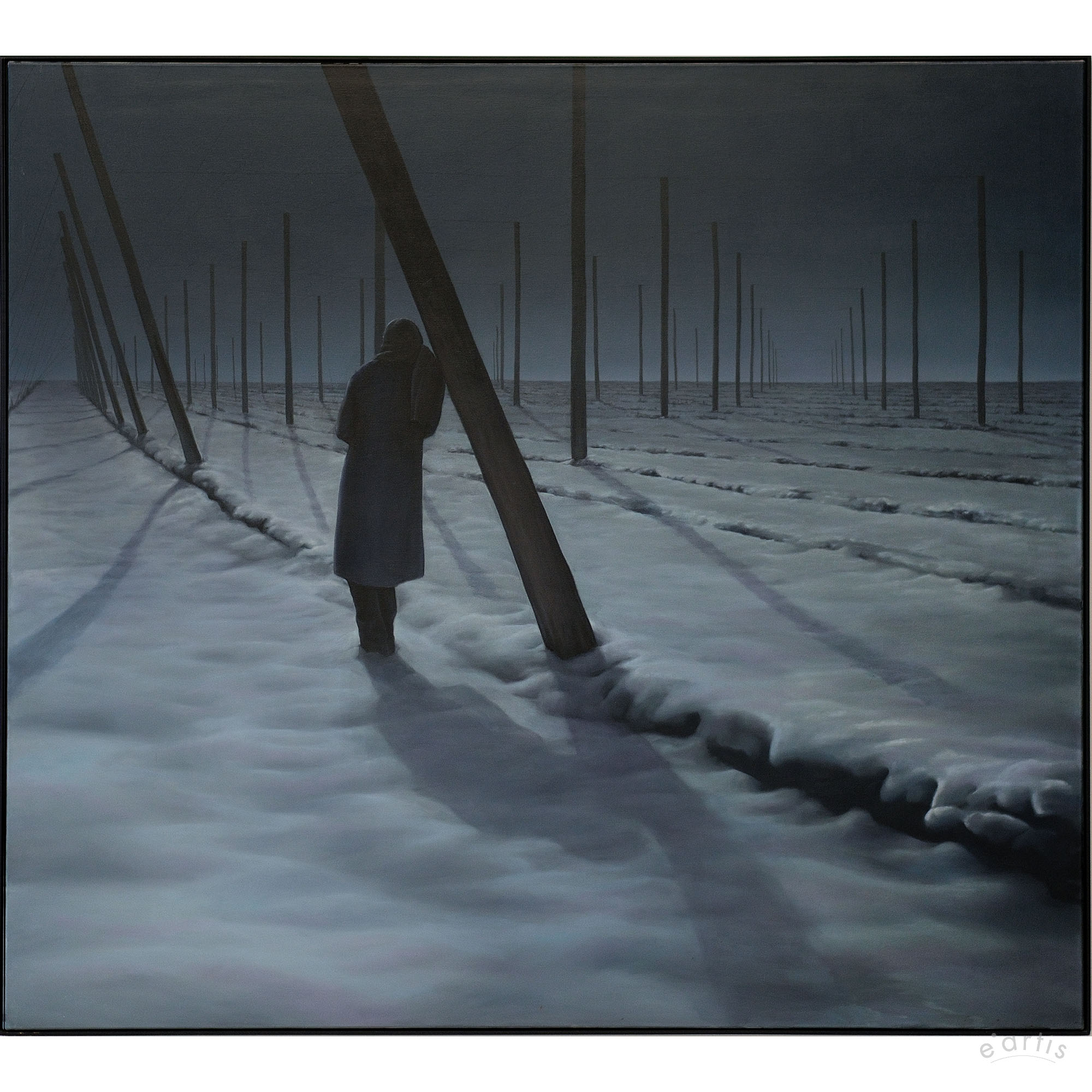 Hopfenfeld from the series: Jahreszyklus