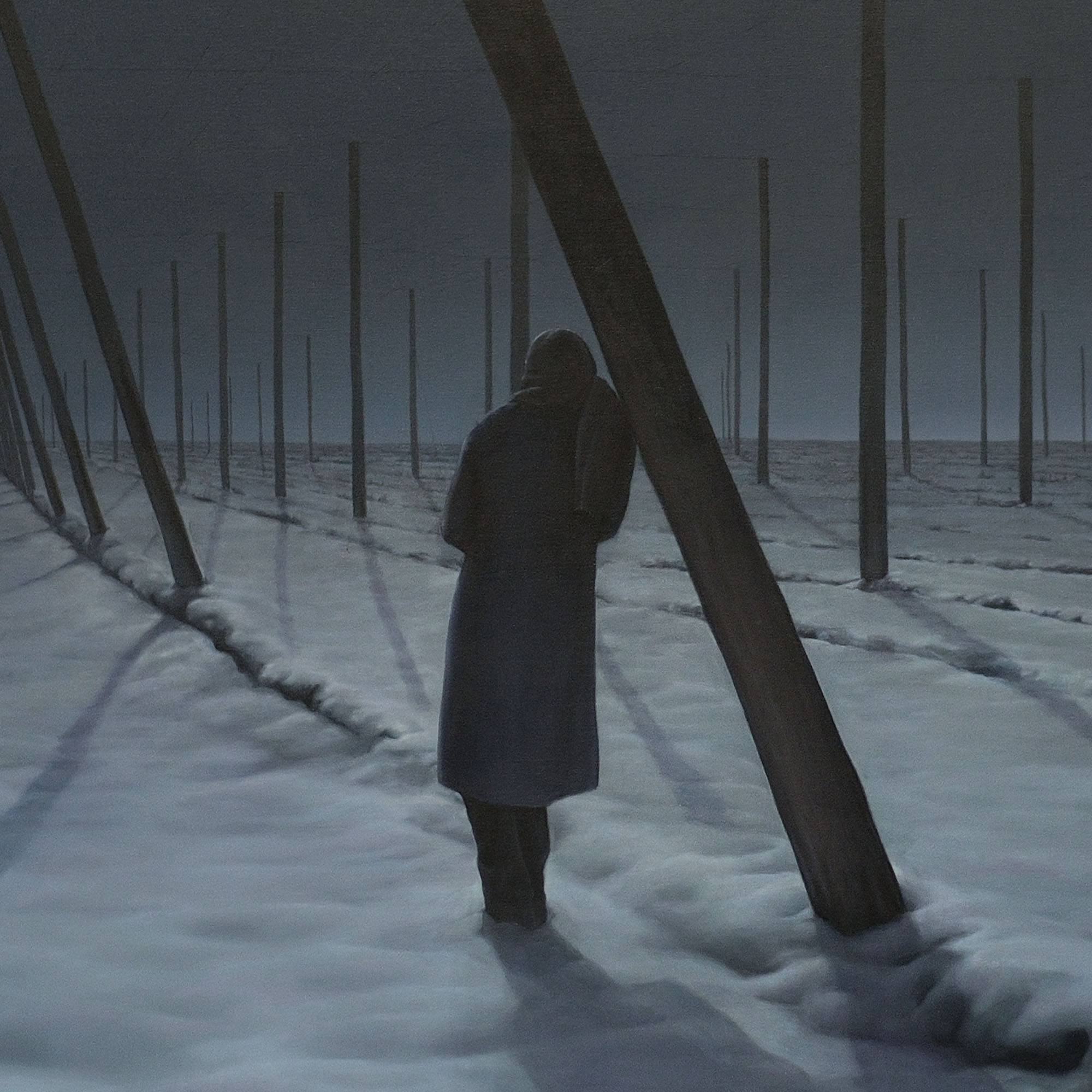 Hopfenfeld from the series: Jahreszyklus